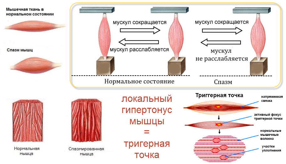 Тантрический секс: что такое, техники, позы: Отношения: Забота о себе: рукописныйтекст.рф